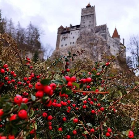 Pensiunea Antonio Bran Bran  Eksteriør bilde